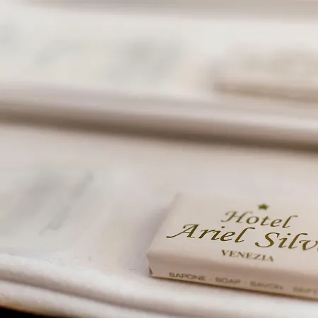 酒店 爱丽儿希尔瓦酒店