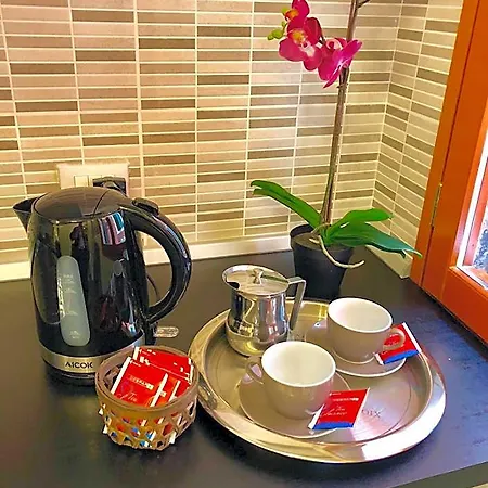 爱丽儿希尔瓦酒店 酒店 威尼斯