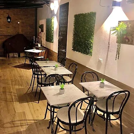 爱丽儿希尔瓦酒店 酒店