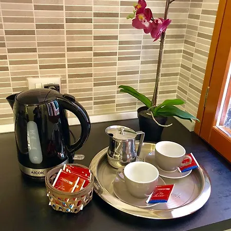爱丽儿希尔瓦酒店 酒店
