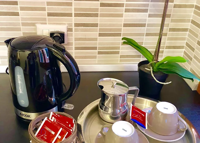 Hotel Ariel Silva Venise